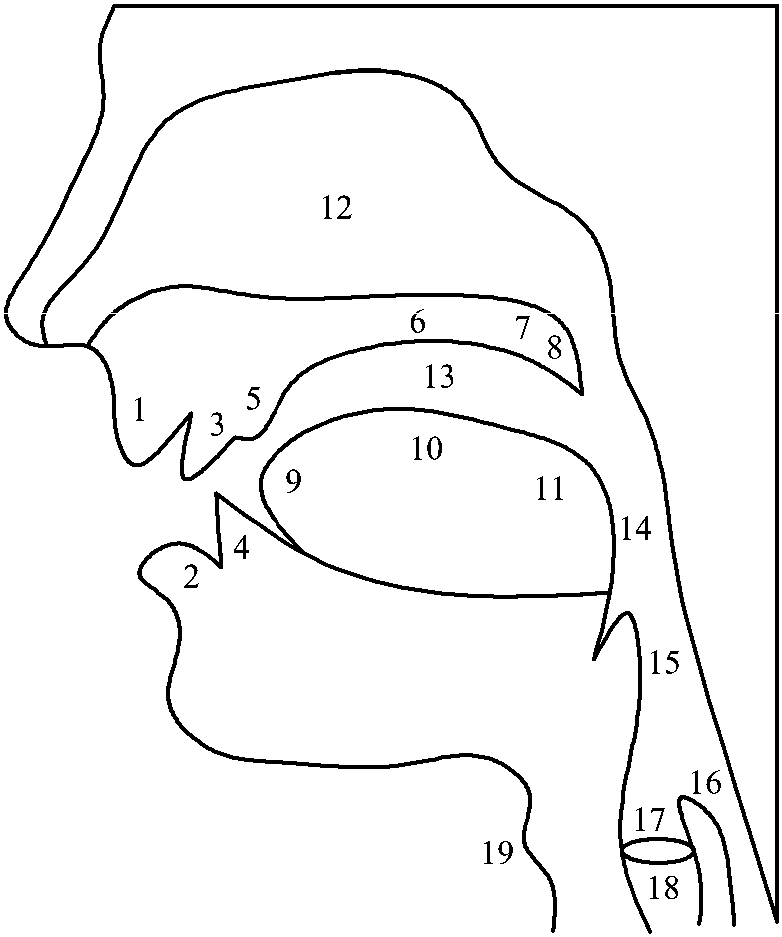 Unit 1 Articulators